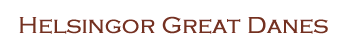 Helsingor Great Danes